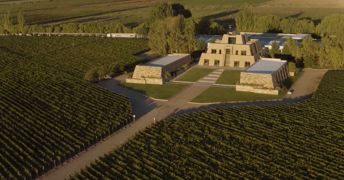 CatenaMalbec's tweet photo. "We have hundreds of parcels, which we treat differently in terms of the leaf cover, the pruning, the watering and we also vinify them separately and each one gives us a different flavor".- Dr. @LauraCatena at @StartsWithWine. Enjoy on @PrimeVideo! 🍷🍇🇦🇷 #MalbecPioneer https://t.co/cw1rRZlF3H