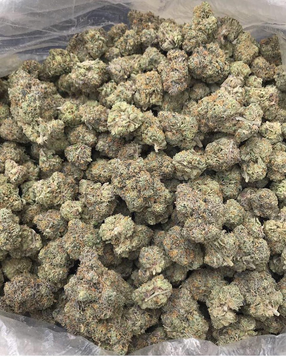 Patrick56915807's tweet photo. Top shelf medical quality Marijuana grade A available at affordable prices.
.
.#ukbuds420 #uk420 #uk420wales #420 #710 #thc #stoners #letssmoke #maryjane #stonerrules #420beauties #ukstoners #stonernation #420uk710 #420ukstoners #ukhaze #buddyboy420uk #smokeweedeveryday https://t.co/YNAnavJAUe