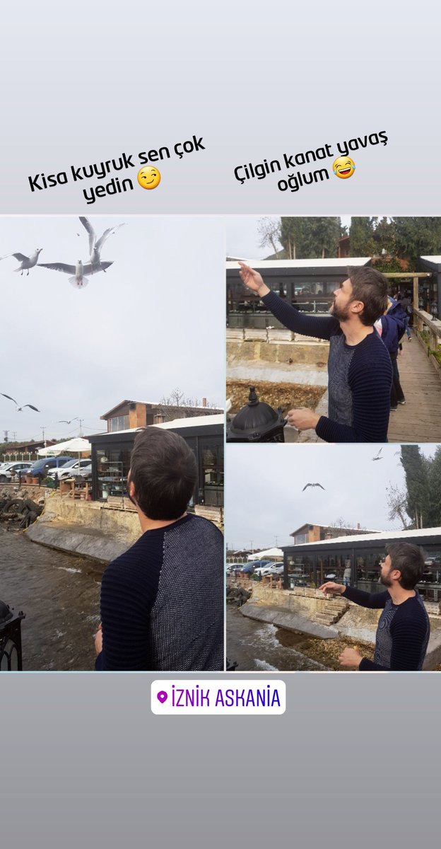 EmreYASA2's tweet photo. #iznik #askina https://t.co/mUWCle1qLf
