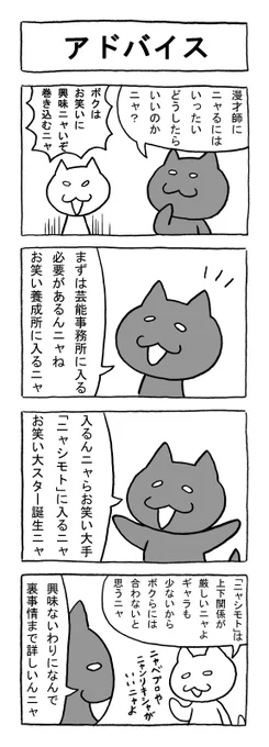ねこまんがかいてみた34「アドバイス」
#ねこ #猫 #猫漫画 #4コマ #4コマ漫画 #マンガ #毎日更新 #漫才 