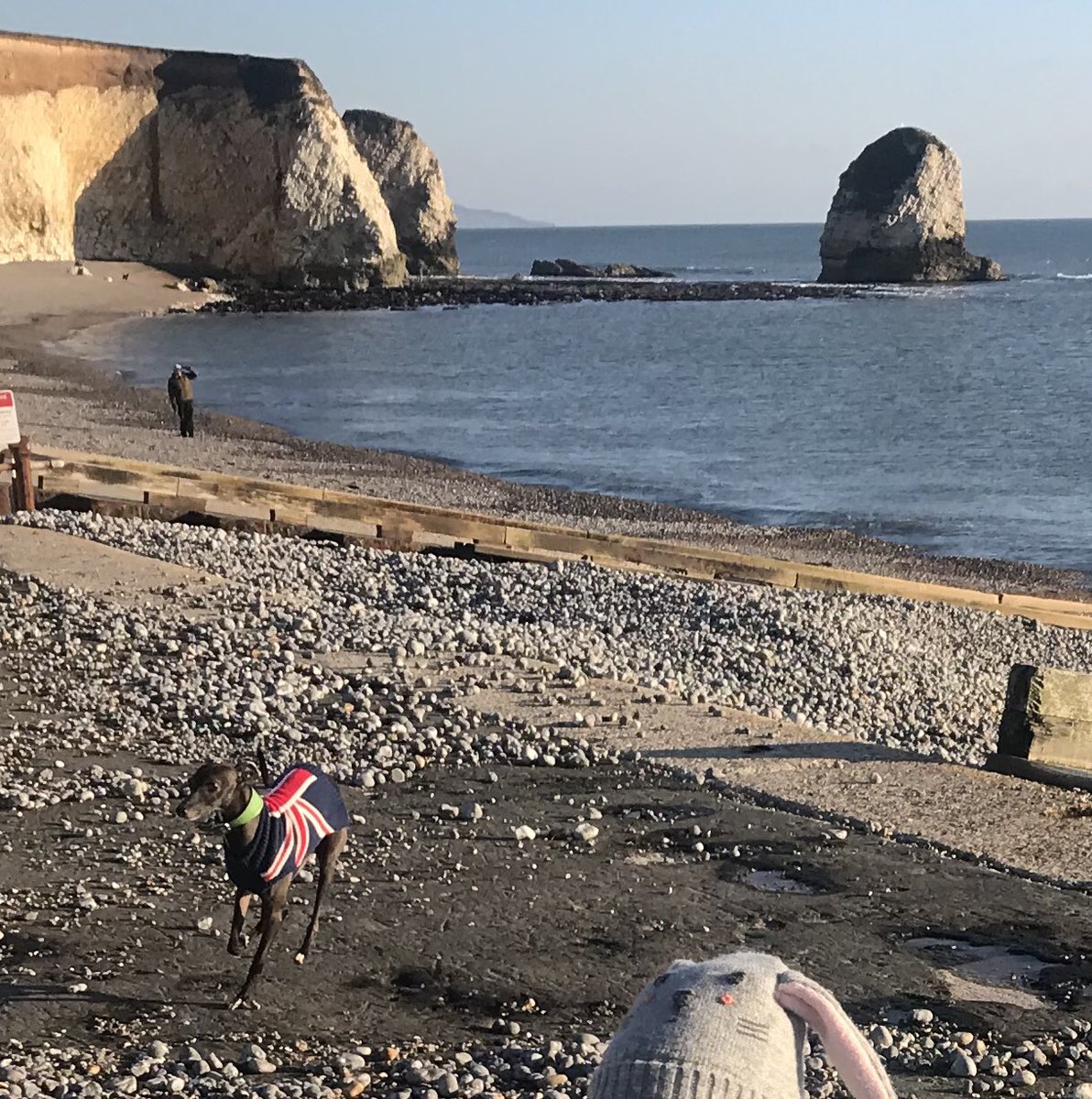 ColinDeDog's tweet photo. Freshwater Bay yesterday - my local beach now that we have moved West!
#Freshwater #IsleofWight #Westwight https://t.co/6YO0AnhQd3