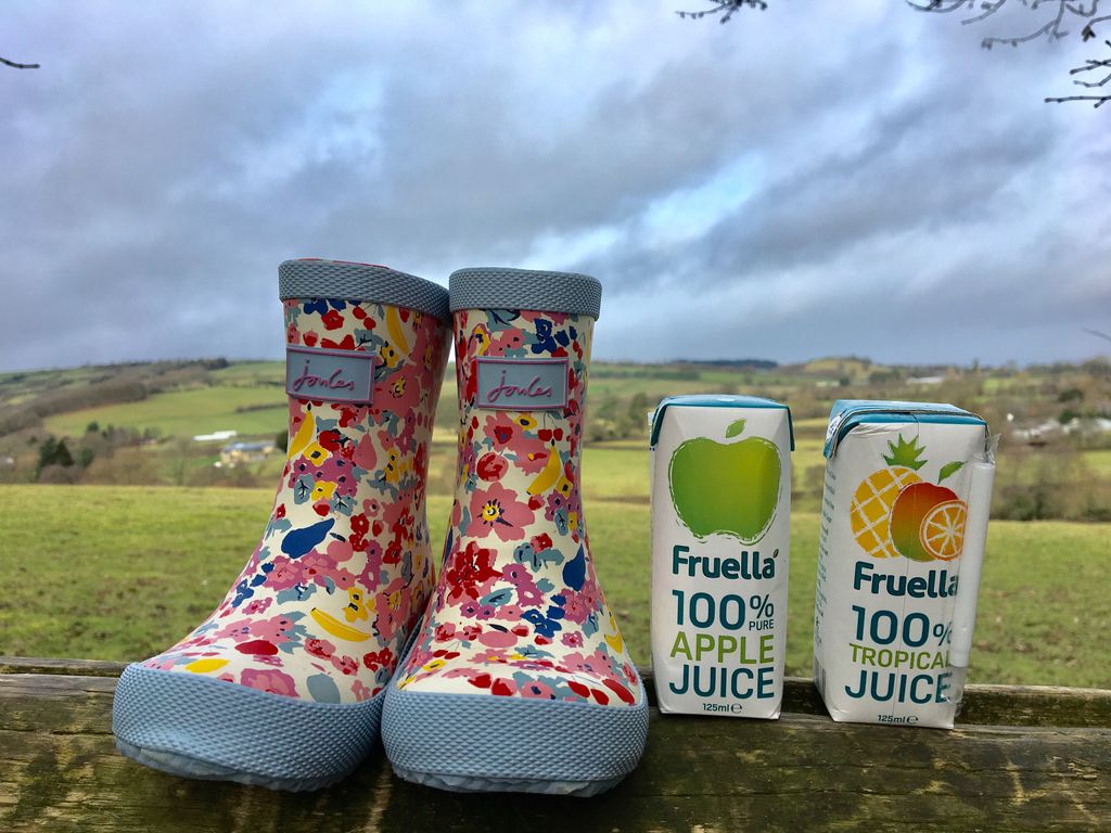 Our Fruella 100% juice comes in handy little 125ml cartons - perfect for little people on big adventures 🌈