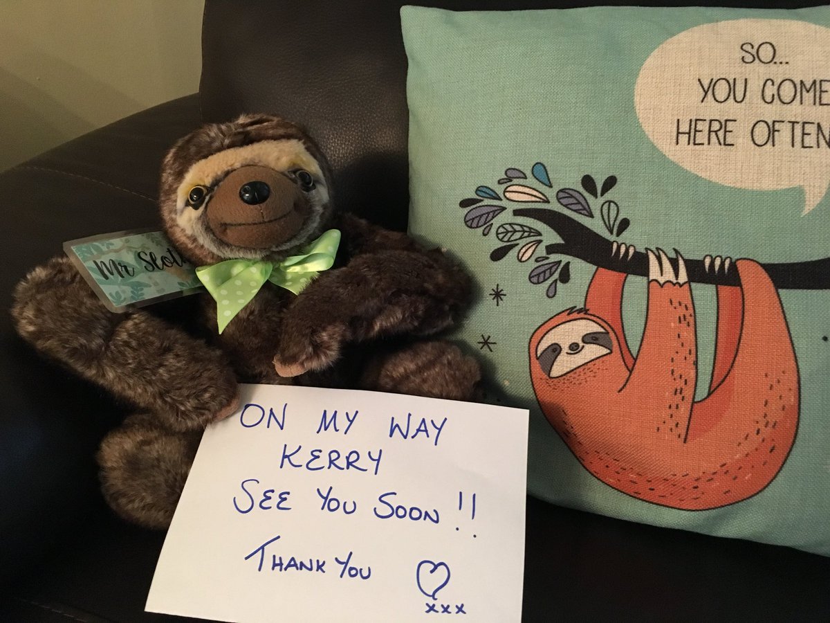 zacstributefund's tweet photo. There goes another Slothy, thanks Kerry @RMCHcharity  #slothsunite #mrslothy #charity #cbtrn #teamzac https://t.co/f0j6fGwRgD