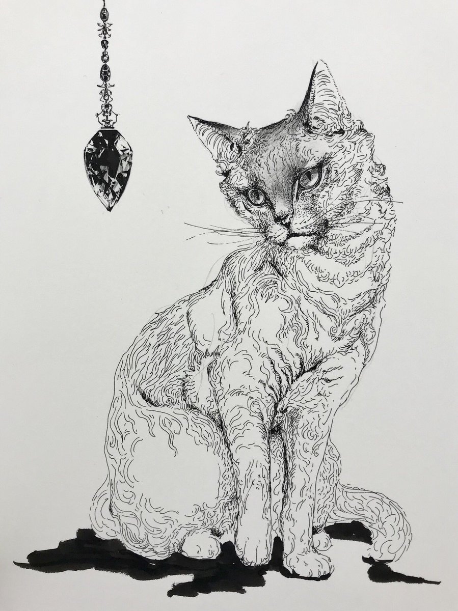 猫将軍　原画 猫将軍 画集 『FEAST AND THE BEAST』 【サイン入りポストカード