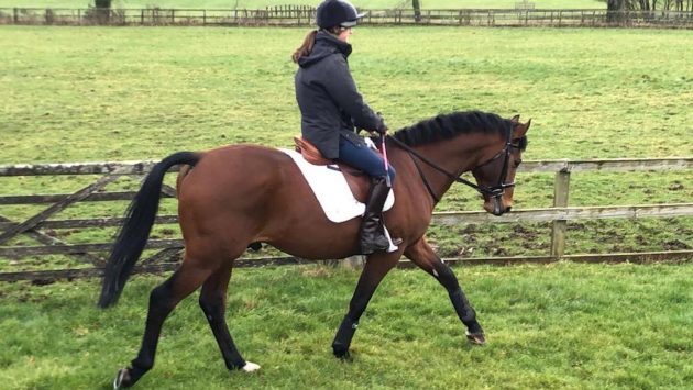 Horse & Hound tweet media