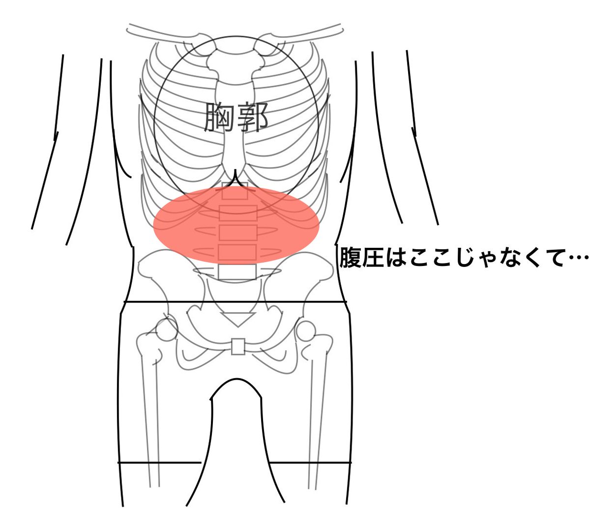 にっしー Activike 腹圧のキープすると呼吸きつい ってなる人はおへその上に圧をかけていて横隔膜と胸郭 を固めてるパターン おへその下に圧かけておけば横隔膜と胸郭は自由だから呼吸にもそこまで影響しないです