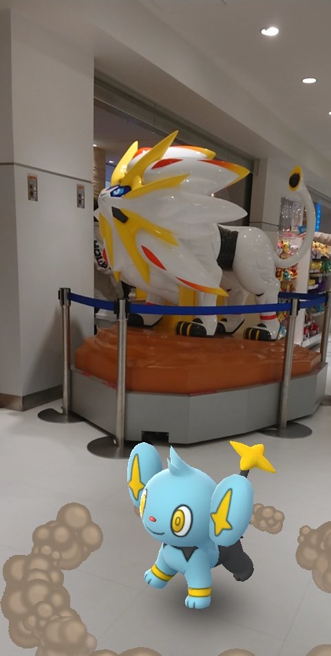 ソルガレオ Cuardach Twitter Twitter ソルガレオ Cuardach Twitter Twitter