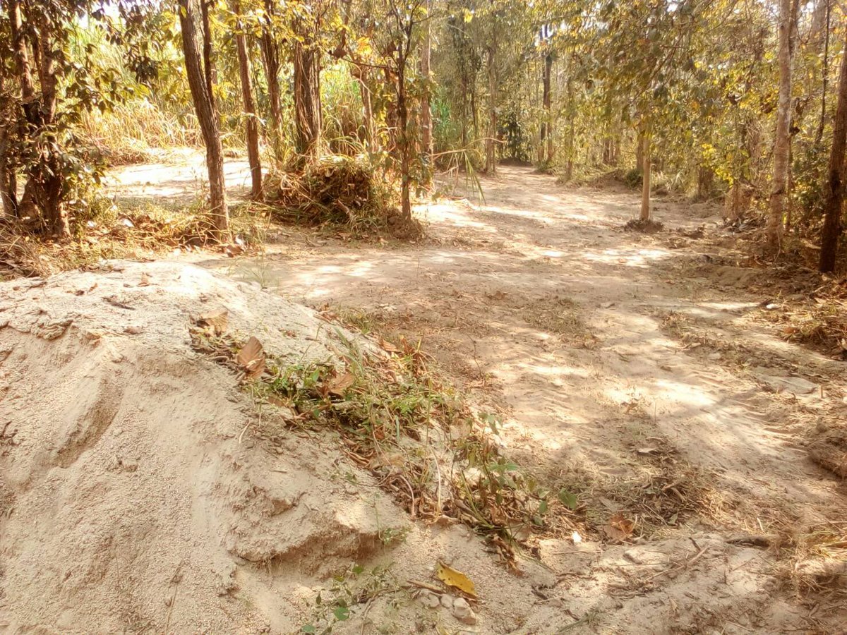 SoraidaSalwala's tweet image. #FireBreaks around @FAEeleHosp แนวกันไฟรอบโรงพยาบาลช้างฯ ค่ะ