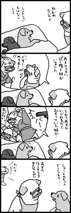 【パグ嫁と姑】のはじまり① 