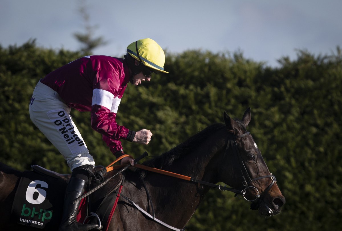 myracingtips's tweet image. QUESTION: Will Apple&apos;s Jade WIN the Champion Hurdle? 🍎

🔁 RT - YES

❤ LIKE - NO