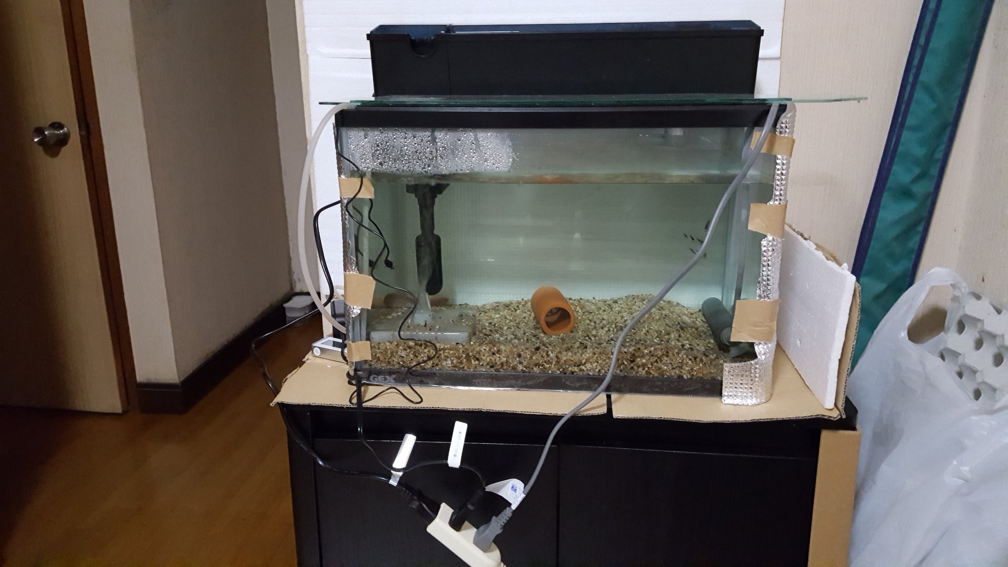 Toshi 床置きだった水槽を水槽台を買って移動完了 総合ペットショップで水槽台安くなってたので購入 組み立ては初めてだったので40分かかってしまった アクアリウム 熱帯魚 ブルーレインボースネークヘッド ポリプテルスセネガルス T Co