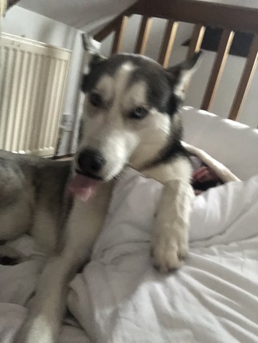 My son https://t.co/JeUwPubxX2<a href="/tag/mentalhealth"class="tags"><span>#mentalhealth</span></a>