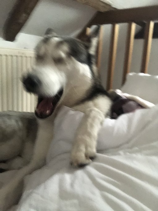 My son https://t.co/JeUwPubxX2<a href="/tag/mentalhealth"class="tags"><span>#mentalhealth</span></a>