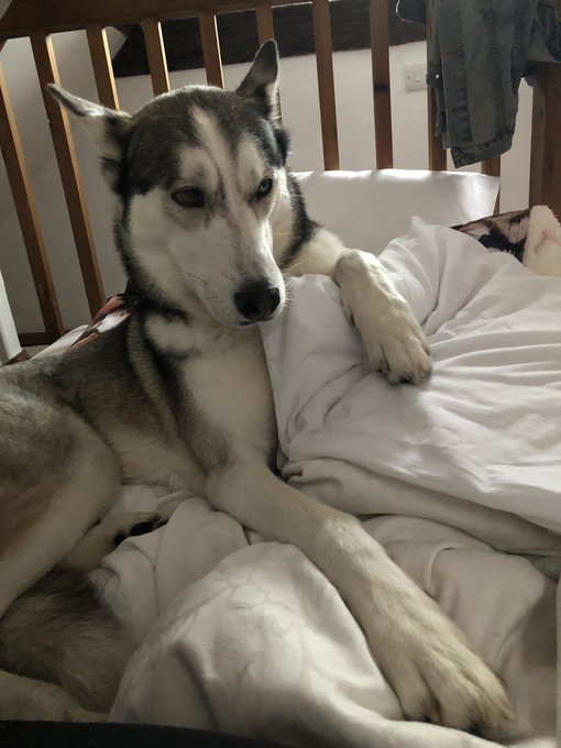 My son https://t.co/JeUwPubxX2<a href="/tag/mentalhealth"class="tags"><span>#mentalhealth</span></a>