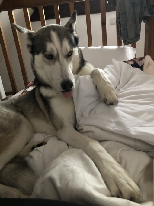 My son https://t.co/JeUwPubxX2<a href="/tag/mentalhealth"class="tags"><span>#mentalhealth</span></a>