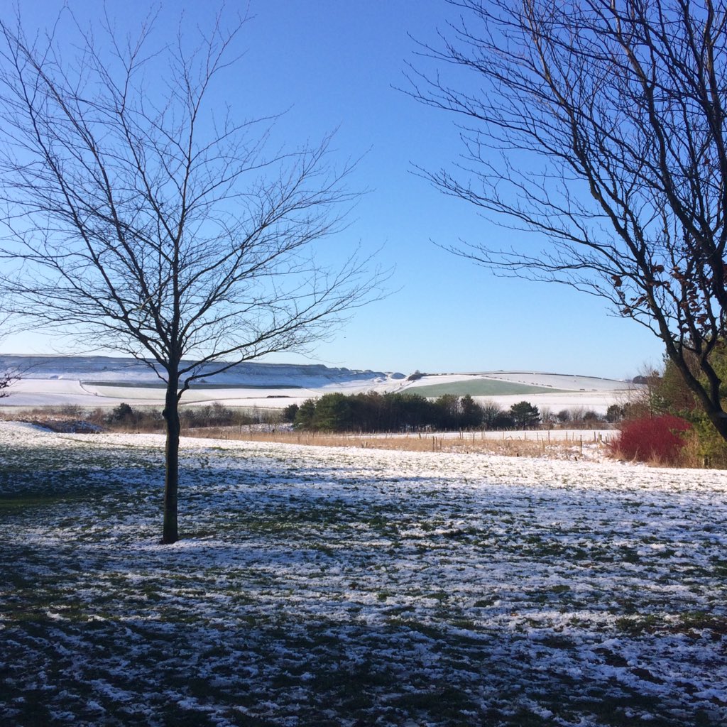 jessica knight tweet media