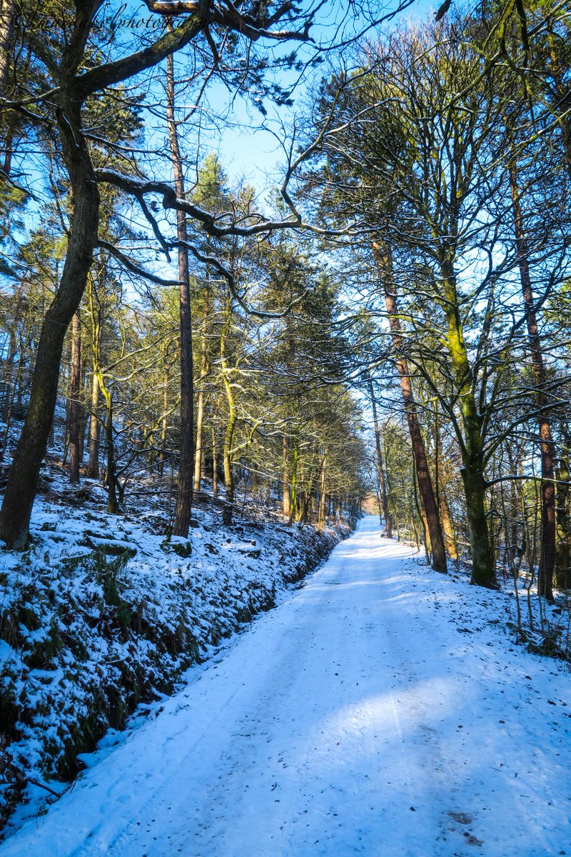 winter wonderland above hardcastle crags <a href="/HXCourier/">Halifax Courier</a> <a href="/HebdenBrTimes/">Hebden Bridge Times</a> <a href="/HardcastleNT/">Hardcastle Crags</a>  <a href="/CalderdaleLife/">MustVisitYorkshire</a> #hardcastlecrags #snow #winter