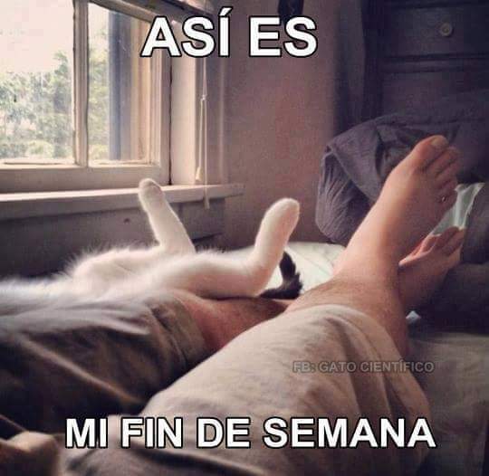 #BuenosDias #FelizDomingo #BuenDomingo así mis finde