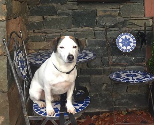 Ravenstone Manor tweet media