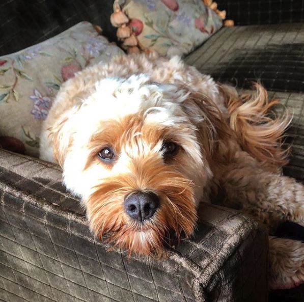 Ravenstone Manor tweet media