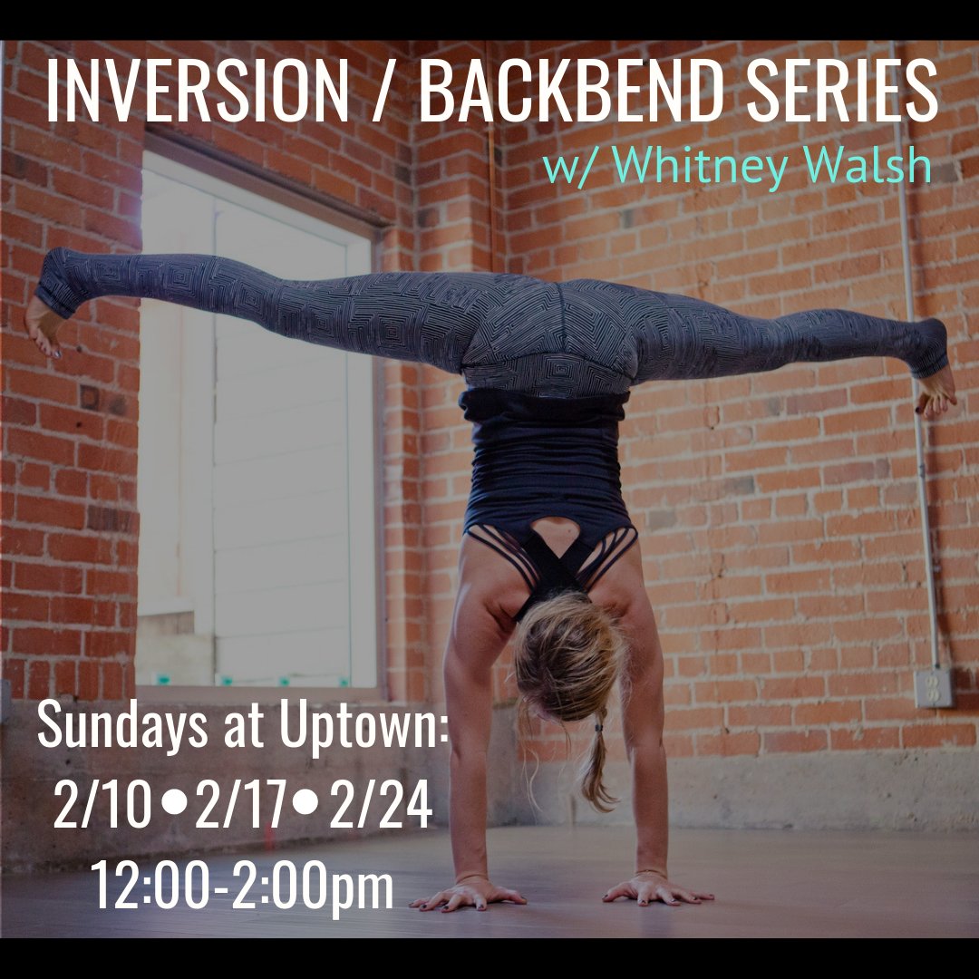 leftcoastpyoga's tweet photo. Inversion Series starts Feb 10th! - https://t.co/alsPAqEiL9 https://t.co/kjCDzSlm5A