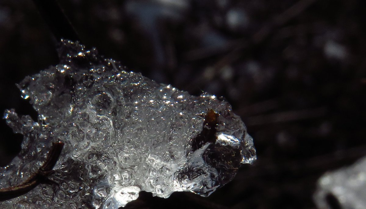 BarbaraStock13's tweet photo. Try to get out
#icepattern #macrophotography
#BarbaraStockPhoto https://t.co/G3sQq9Rcb4