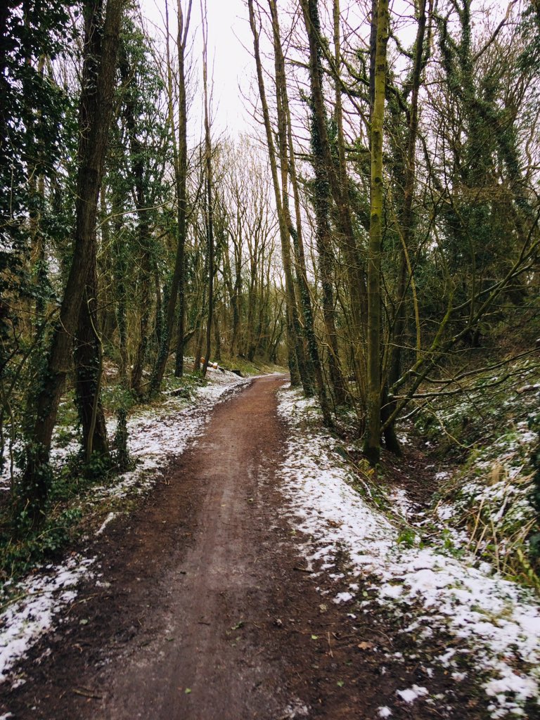 Kimburford74's tweet photo. Still too icy for us πββοΈso a cold and wintry walk for a couple of hours today instead βοΈβοΈπ!!! Cold but lovely getting out π!Now to warm up with pizza π and pasta ππ!! #happyweekend #stillfreezing #noideahowyouruninthisweather #howcold #walkingtoday # #goodtobeoutside #happy https://t.co/DKnLKTLuNJ