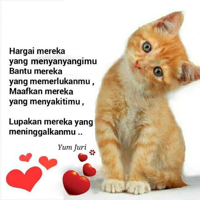 SSyahriza's tweet photo. 😊😇 https://t.co/ISiYuTuk03