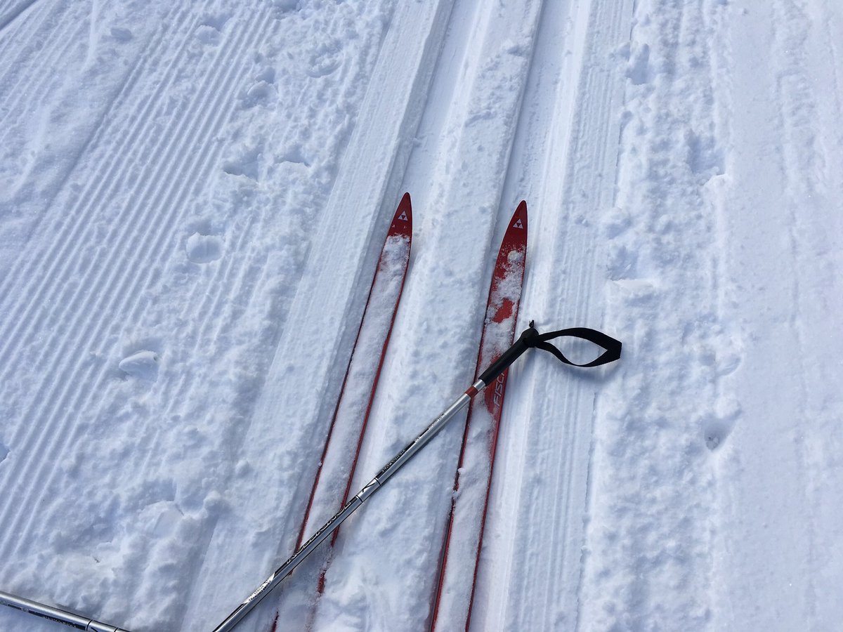 epleshe's tweet photo. Enjoyed cross country skiing in the upper peninsula of Michigan during the Christmas season. #crosscountry #skiing #exercise #UpperPenisula #naturelovers https://t.co/vxRpFSd087