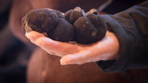 Al 8 jaar een traditie. Voor hen, de inwoners van Campagnac les Quercys, én voor ons. De truffelmarkt van februari. De truffeltelers hadden een droge zomer 2018 achter de rug. Een handvol zoals op de foto kost dit jaar ongeveer €500. Het was vanochtend #smullen en #genieten.