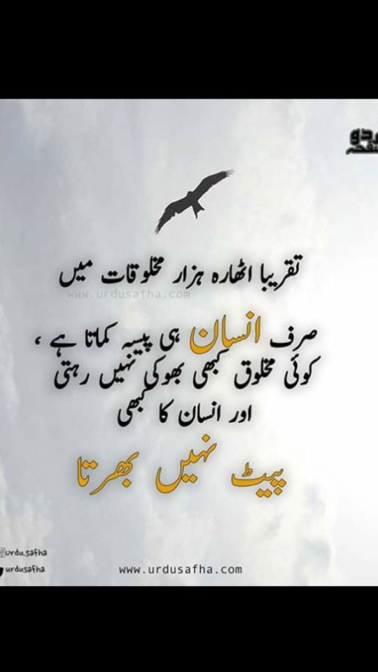 PoetryMix tweet picture