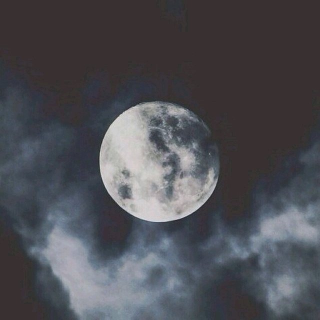 crazy_skt's tweet photo. ╰i can feel what you’re feeling now — and you are worth it╮

╰you are the most important thing to me now. The most important thing to me╮ 

— Stephenie Meyer, Twilight. https://t.co/QO0lG0xq2m