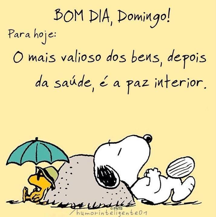 Bom Domingo Amigos!