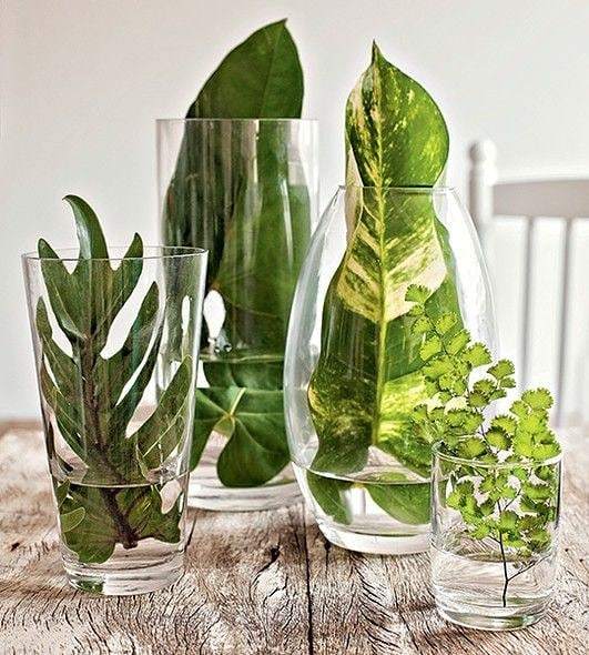 suadecoracao's tweet photo. #diyfacil pra vc #decorar a sua #cozinha ou qualquer outro lugar da #casa
.
É só pegar um #copotransparente e colocar um pouco de água, depois basta pegar a #folha de alguma #planta e pôr dentro do copo. Dura um tempinho e depois é só trocar. Vi esse #di… https://t.co/ePqwpqpcOA https://t.co/IFH3z9ONu8