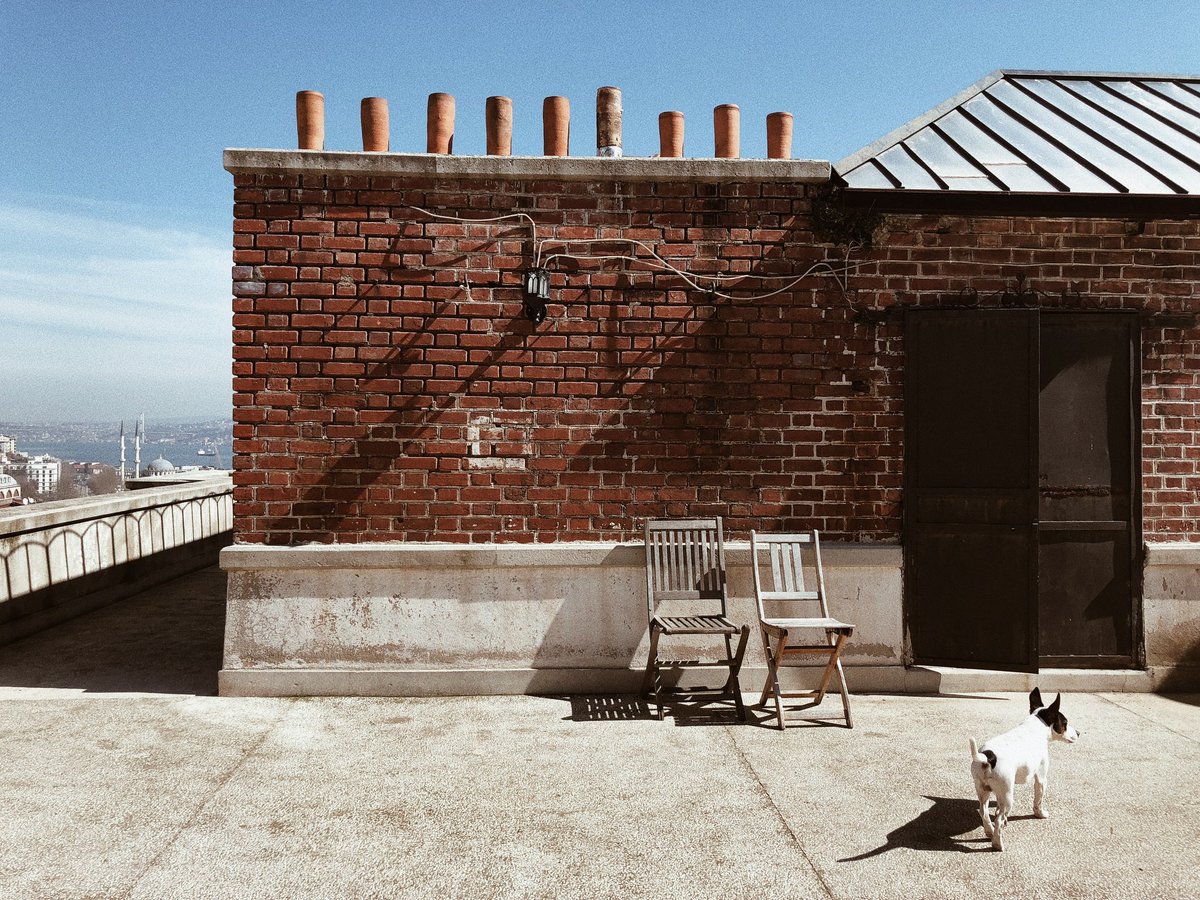 Hazır 14 Şubat geliyorken minik bir hediyemiz olsun istedik. Bu tweeti retweet edip bizi takip eden iki çiftin bu sevgiliniz de olur yakın arkadaşınız da (sevgilisi olmayanları da düşündük👻) belirlediğimiz süper yerlerde fotoğraf çekimi ve editi bizden olsun.  🖤📸