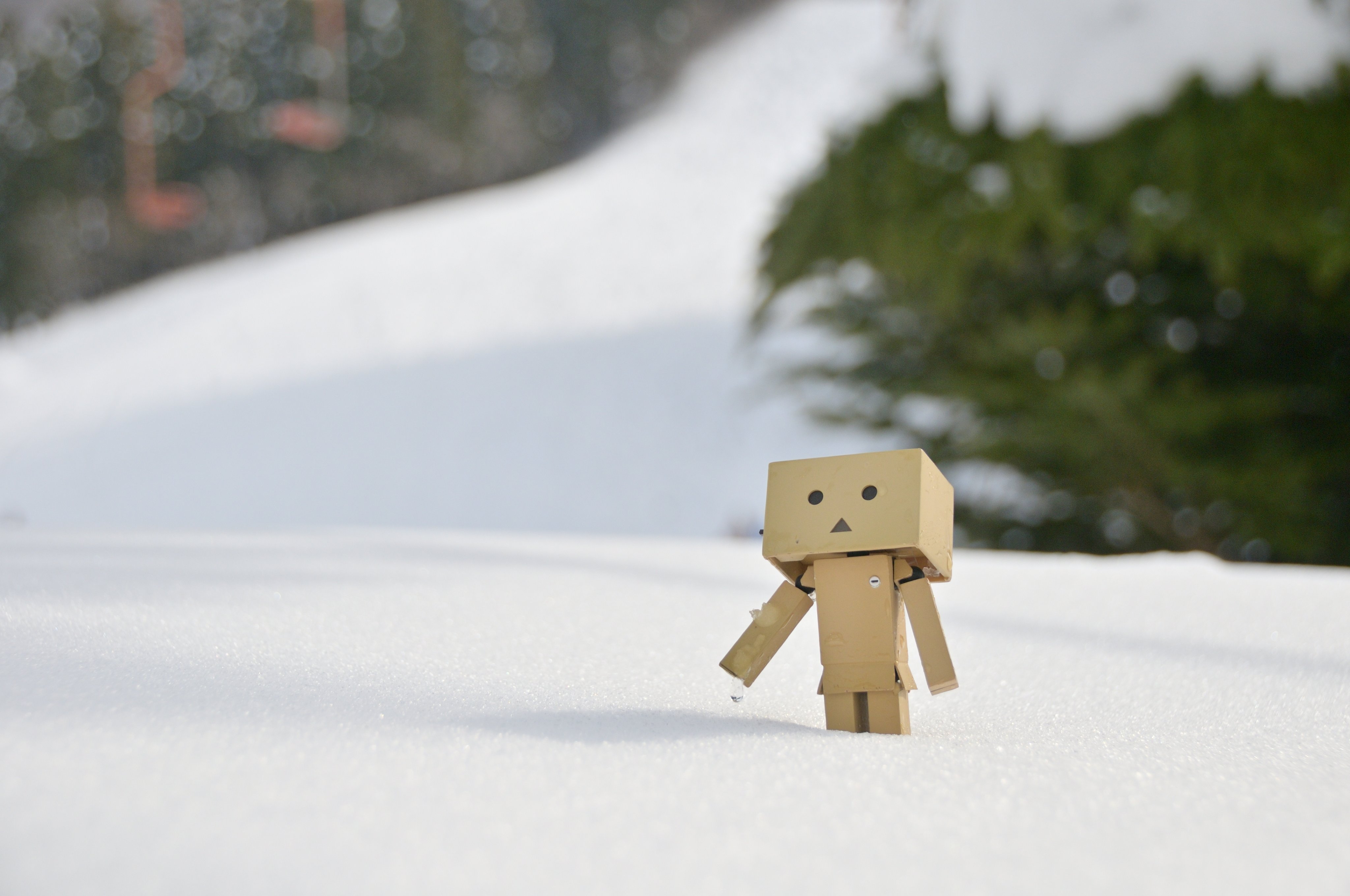 Uzivatel まーる Na Twitteru まっしろ 冬 雪 ダンボー Danboard 写真好きな人と繋がりたい T Co Yht4wmp4lo Twitter