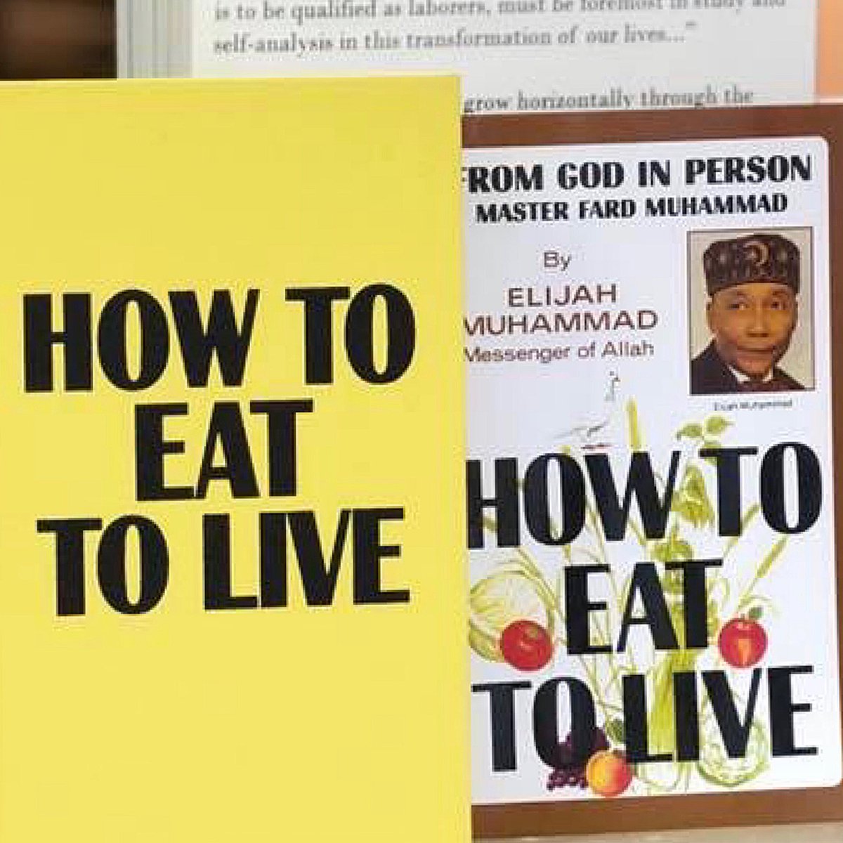 BrotherQiyam's tweet image. By the Grace of Allah, I reached the 6 month mark of striving to eat one meal every other day according to the Divine Blueprint from The Most Honorable Elijah Muhammad contained in his timeless two volumes of “How To Eat To Live”.  instagram.com/p/BtbD_lPAVb7/