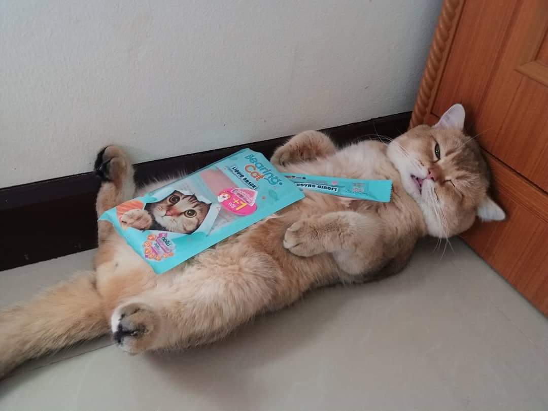 เอ็ดเวิร์ด tweet media