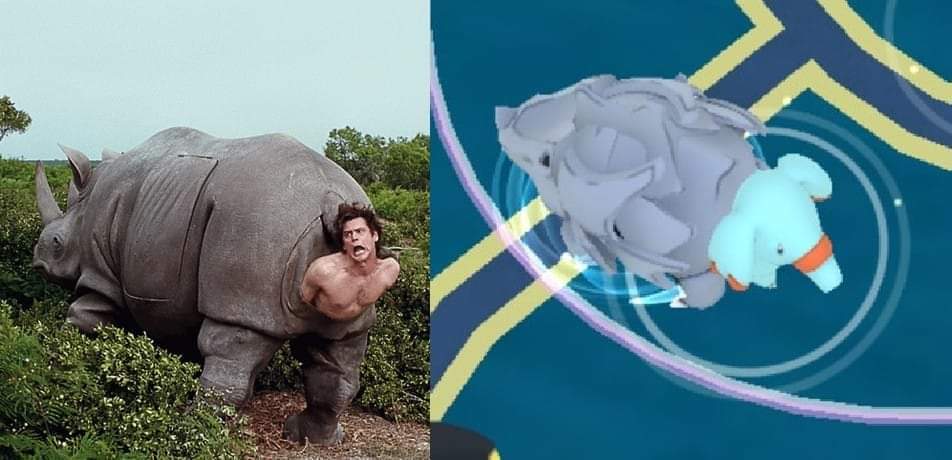 TTiffsteinhoff's tweet photo. Thought I would share this here 😂😂 https://t.co/3H3AcvCNwB