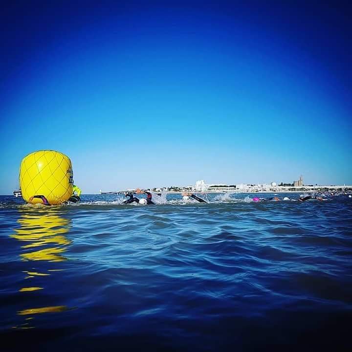 StephMan tweet media