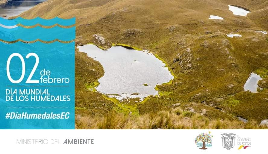 renespichincha's tweet photo. Este 2 de febrero celebramos el día de los humedales, les invito a que ayudemos a cuidar nuestro medio ambiente, recordemos que nuestro Ecuador es un paraíso natural.
#DíaHumedalesEc
#CuidadoAmbiental
#TODOSRENOVAMOSELPRESENTE
#Renespichincha
https://t.co/Csu4SYhNaO https://t.co/tKQKoMXuJ7