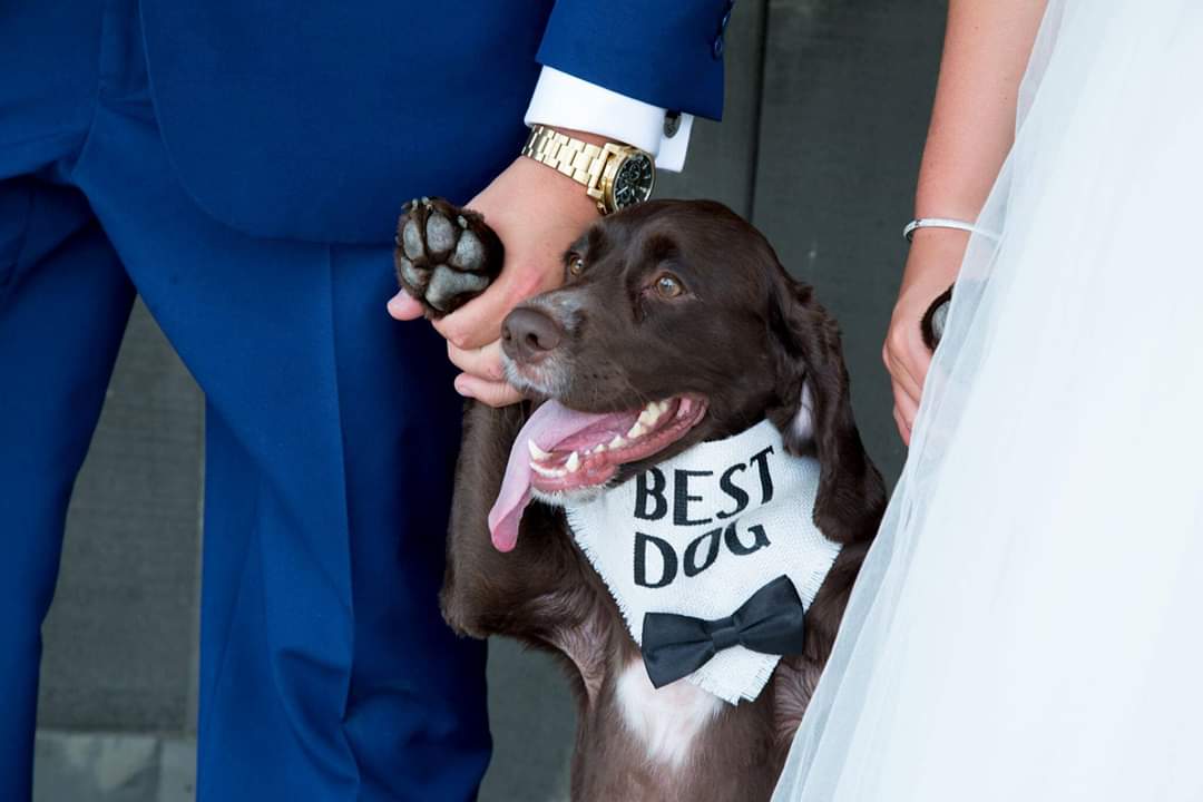 The <a href="/NtnlBridalShow/">National Bridal Show</a> wraps up today inside the Enercare Centre <a href="/ExPlaceTO/">Exhibition Place</a>. Final chance to talk to the wedding experts to plan your special day. #Toronto