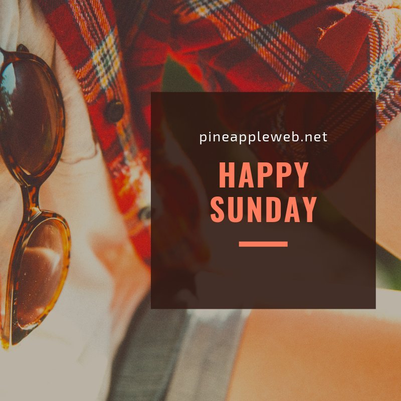 pineapple__web's tweet image. Happy sunday!

#happysunday #uk #england #entrepreneurship #business #website #ecommerce #cheap #offers #pineappleweb #pineapple