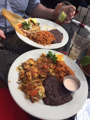 autbar's tweet photo. Perfect Sunday Morning: #Brunch @autbar & Shopping @ Common Language Bookstore. #Retirement Sale. Final Days 50%-60% Off All Books. #A2local @glbtbooks #a2books #A2Food #A2Foodie #annarbor #realypsi @UmichStudents @UMSpectrumCtr #Jimtoycenter @ILoveGayDetroit @lgbtrc_emu https://t.co/LMMkKsSD6E