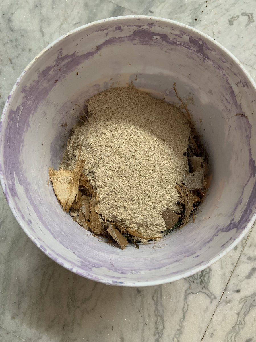 dinesh17_86's tweet image. #compost #compostingathome #kitchengold #organic