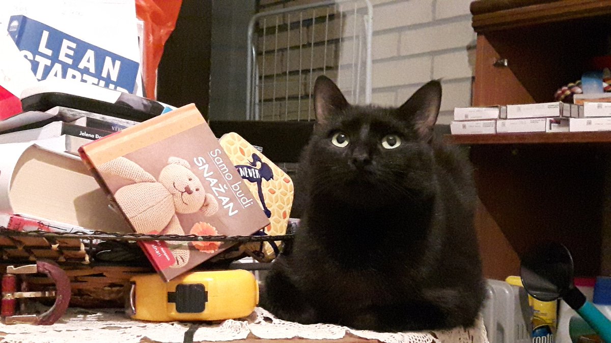 JelenaMKandic's tweet photo. I svi naši #KućniLjubimci ↔ #Leo #Ellie #Bleki &amp; #Zona su od danas #1Od5Miliona jer UVOZNIČKI LOBI, mafija #BratIJa i proizvođači hrane SUROVO NAPLAĆUJU besramno visoke cene, uvozne takse i naknade za transport u iznosu od 35-40%.🐾☝🐾

#NasJeIpakViše🔴🐱🐱🔵🐶🐶⚪ https://t.co/27UML1fKsr