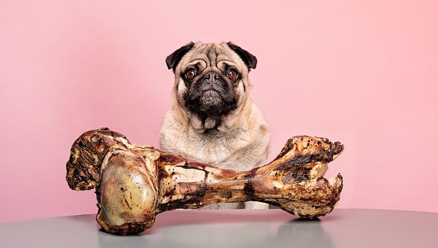 Etched Focus tweet media