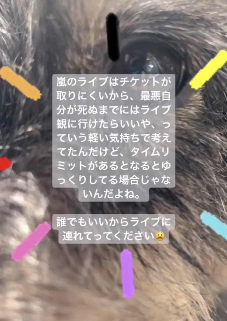 ゆあ tweet media