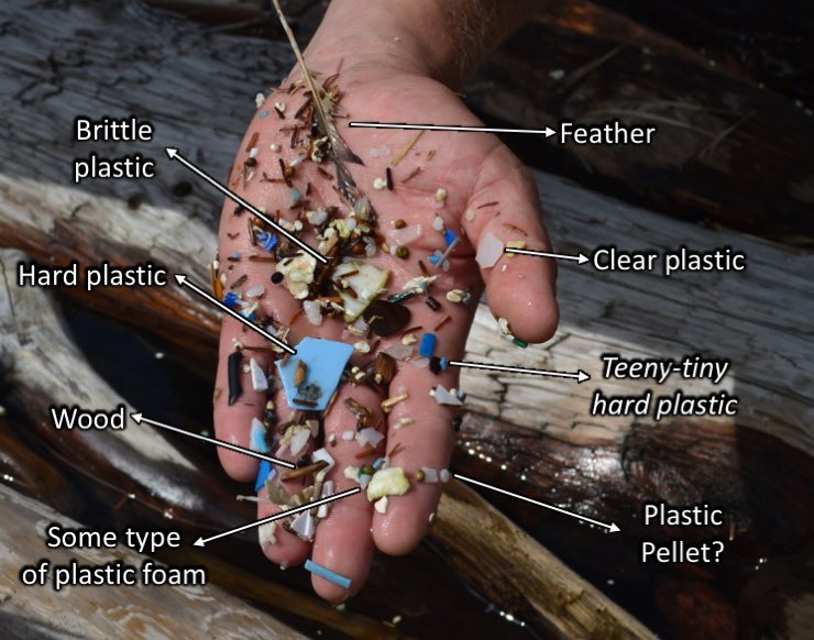 Meredith_Seeley's tweet photo. In honor of the #UnscienceAnAnimal tweets, I decided to #unscience one of my field sites - debris in a remote #Alaska estuary!
My research will ID the different polymer types for these #microplasics, but even then we have to guess where they came from... #PlasticPollution https://t.co/bbskjondvt