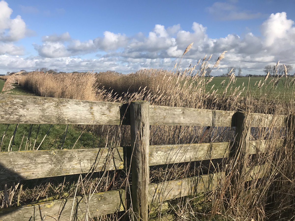 Genieten tijdens een wandeling door het Friese landschap. Ik begrijp Lonely Planet, het is hier uitdagend en bijzonder.